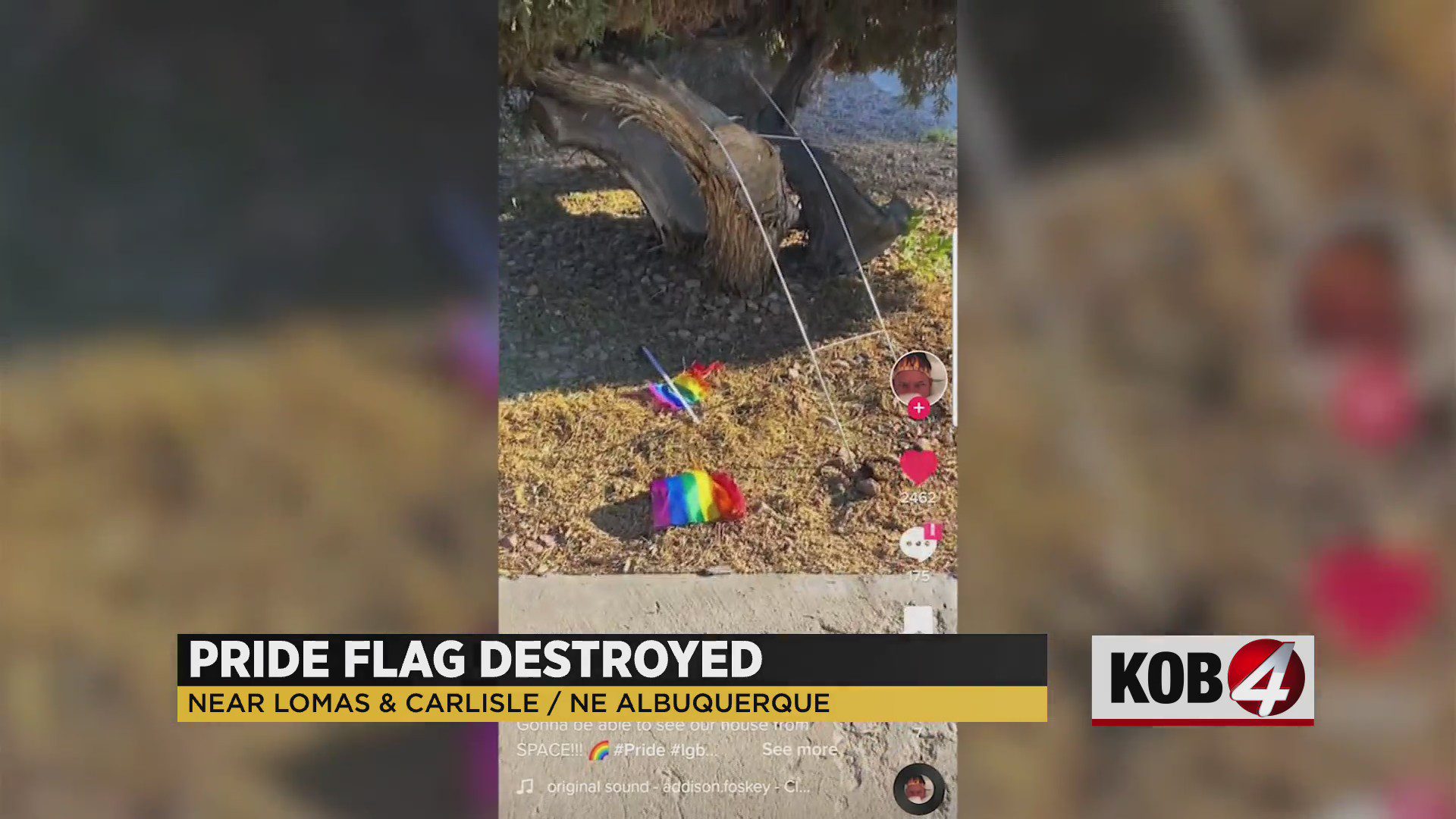 Pride Flag Vandalized In Front Of Albuquerque Home