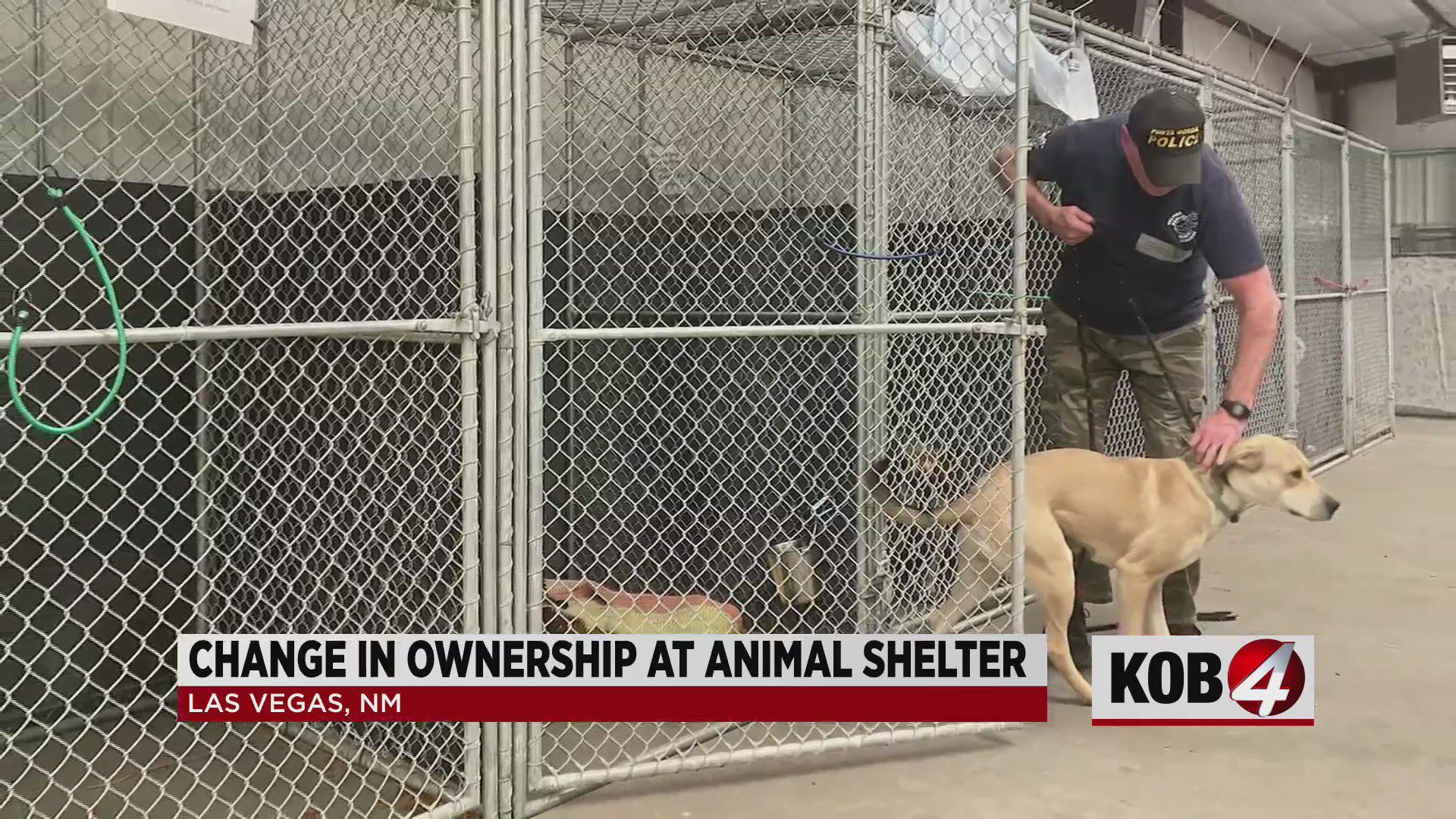Change of Las Vegas animal shelter ownership worries community 