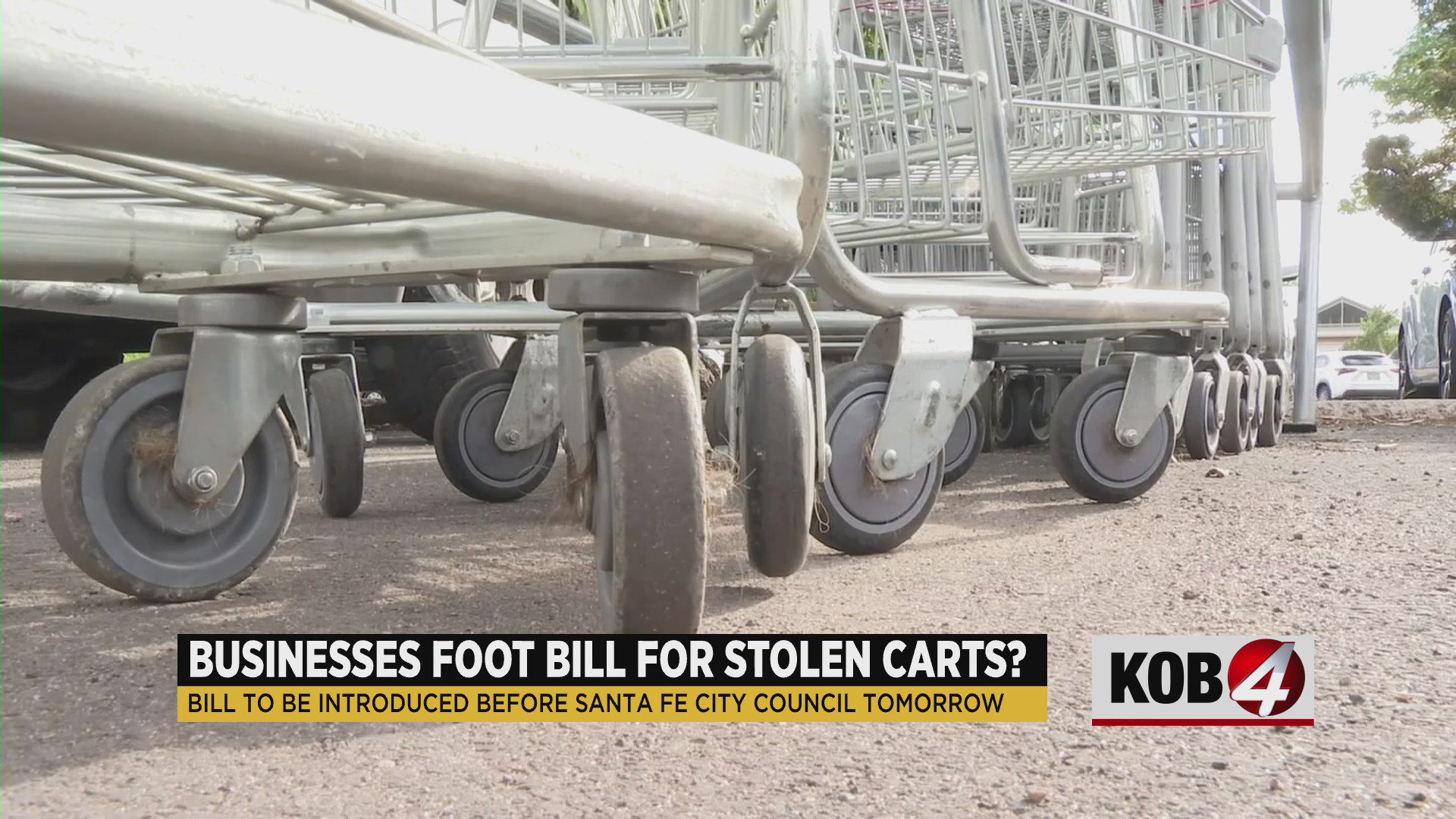 Santa Fe city councilor proposes bill to target stray shopping carts