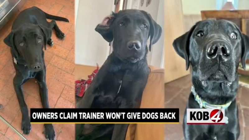 Owners struggle to get dogs, thousands of dollars from local trainer