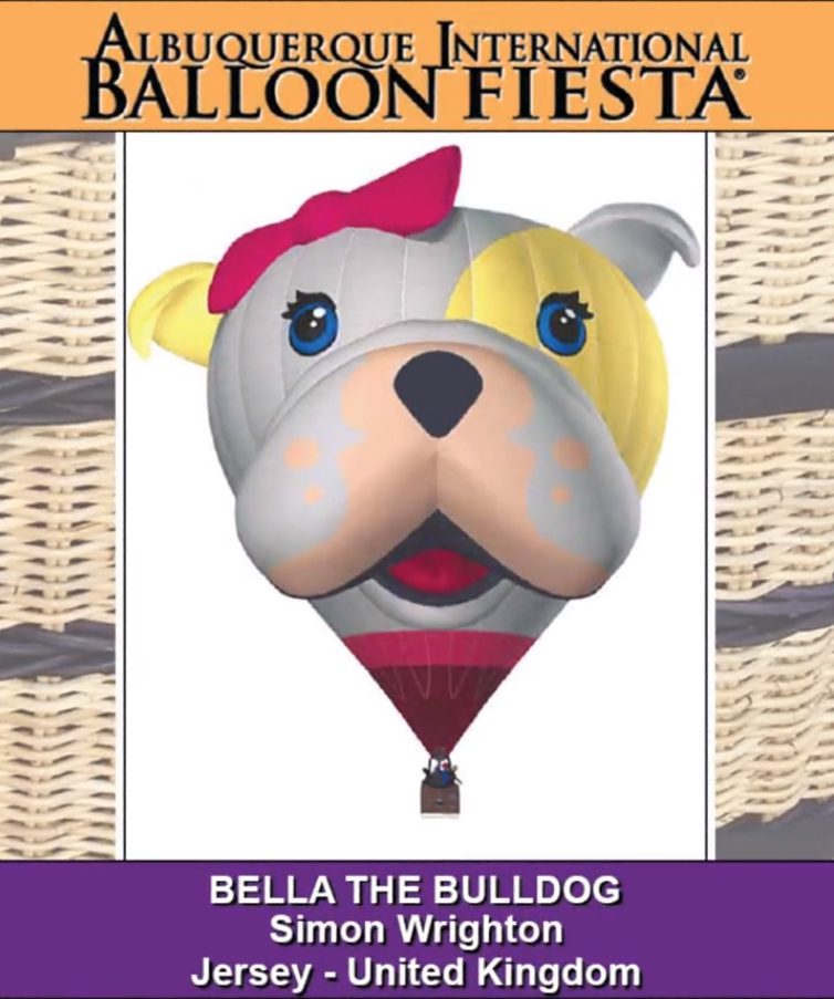 bella the bulldog