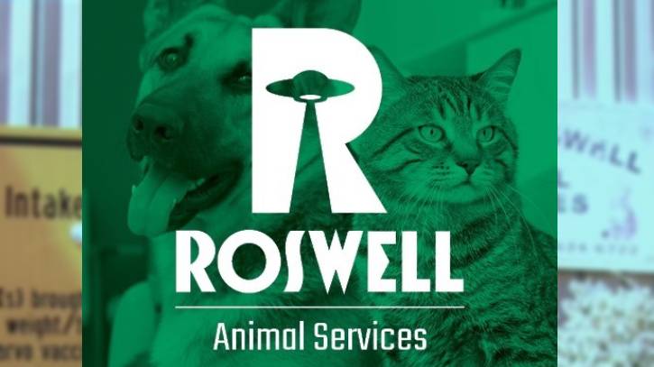 Respiratory illness uptick halts Roswell animal shelter intakes