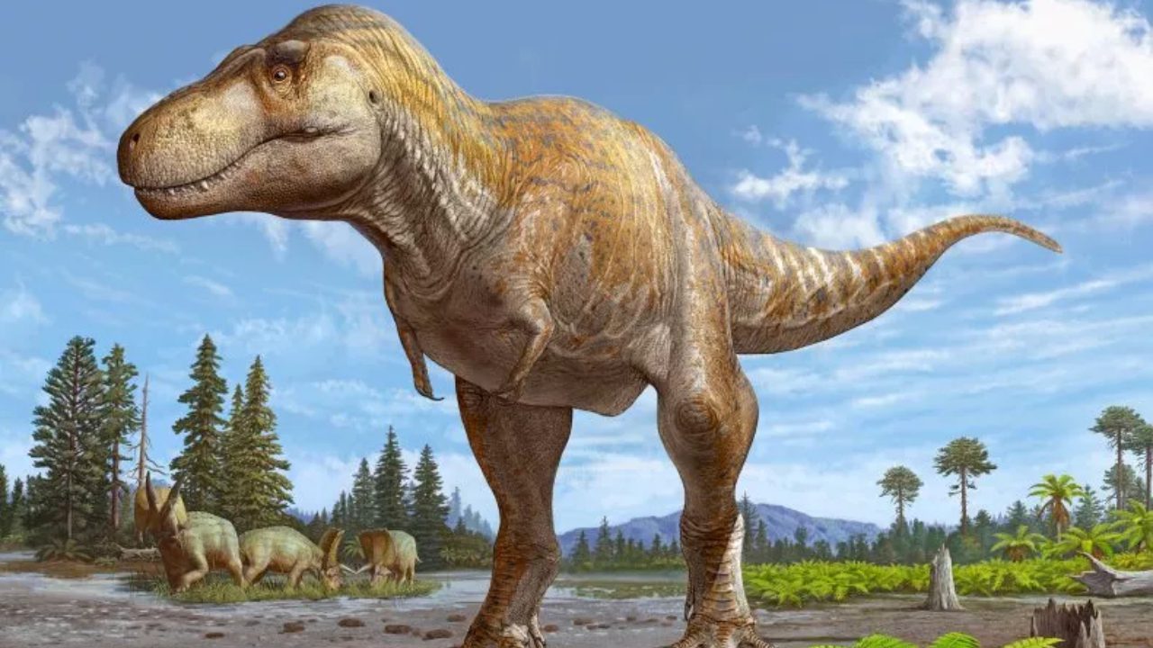 New Mexico'da daha eski bir T. rex kuzeni keşfedildi