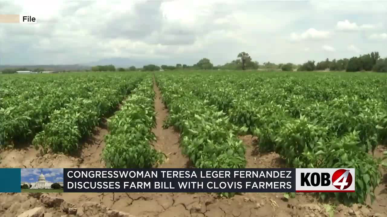 Rep. Leger Fernandez discusses Farm Bill with Clovis farmers