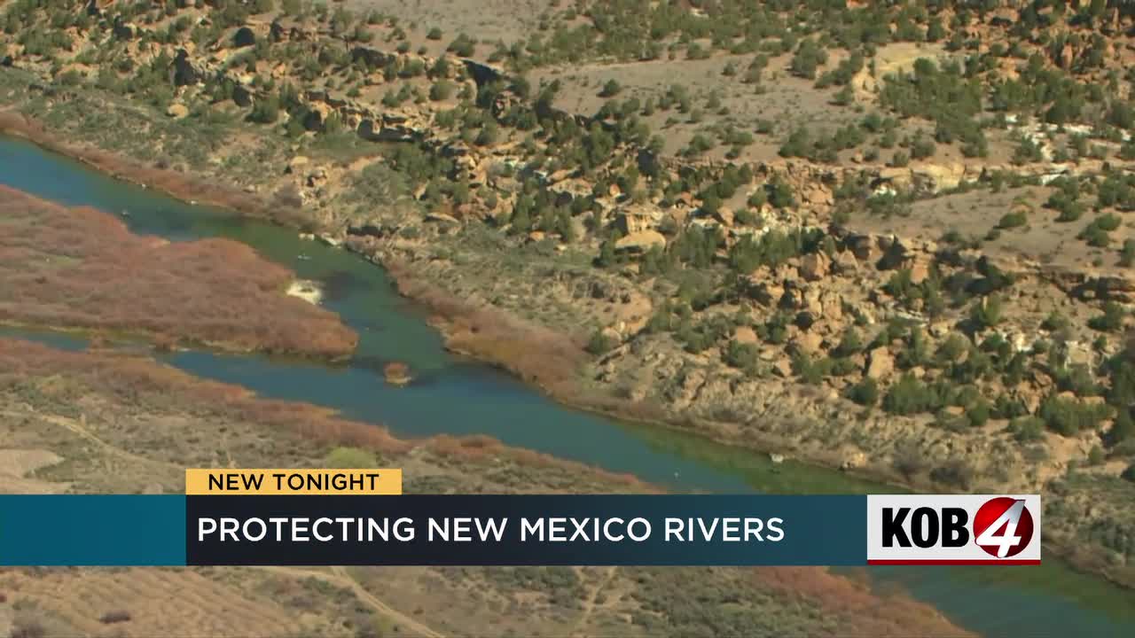Report: New Mexico waterways are the most endangered in the country